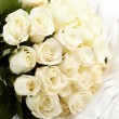 献给浅川樱的最后一束白玫瑰