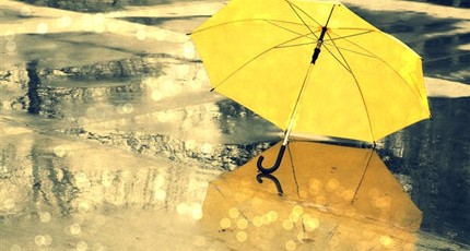 要记得带伞，记得一个人好好生活