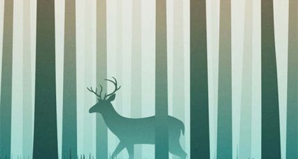 林深时见鹿，夜深时不见你